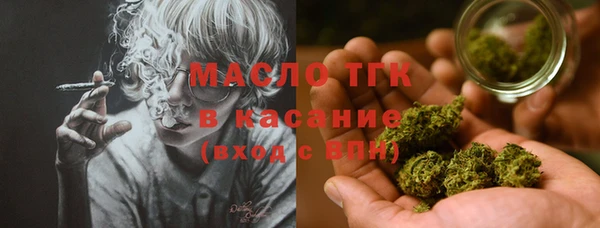 стаф Алексин