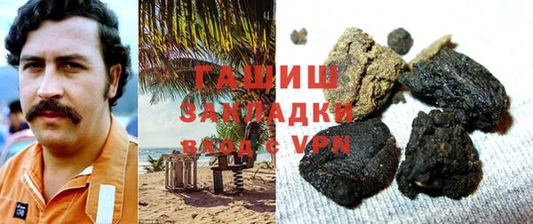 стаф Алексин