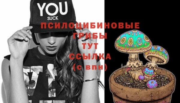 стаф Алексин