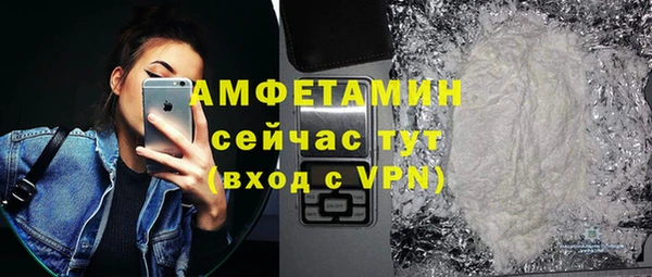 стаф Алексин