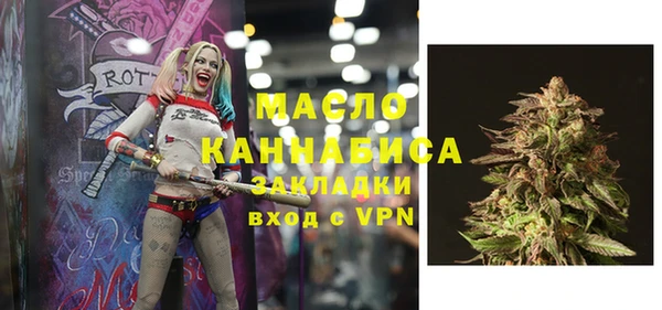 стаф Алексин