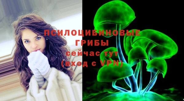 2c-b Алзамай