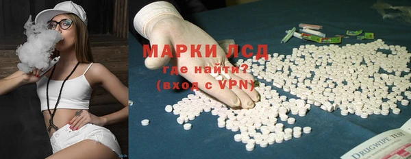 стаф Алексин