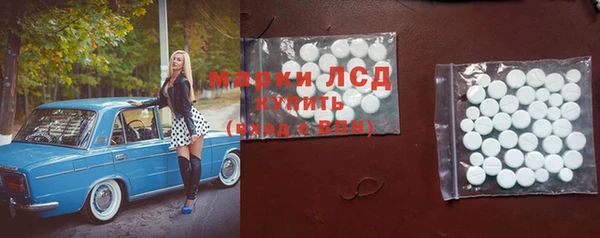 стаф Алексин
