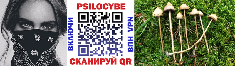 Галлюциногенные грибы мухоморы МЕГА рабочий сайт Кириши